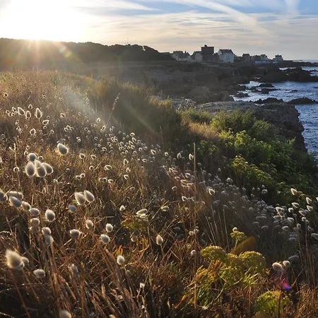 Au Coeur Du Pouliguen Avec Balcon Et Parking, Animaux Admis - Fr-1-306-1313 شقة لو بولين