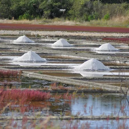 Au Coeur Du Pouliguen Avec Balcon Et Parking, Animaux Admis - Fr-1-306-1313 *